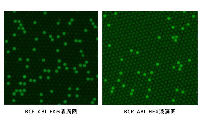 喜讯  博瑞生物两款数字PCR试剂盒获批上市！